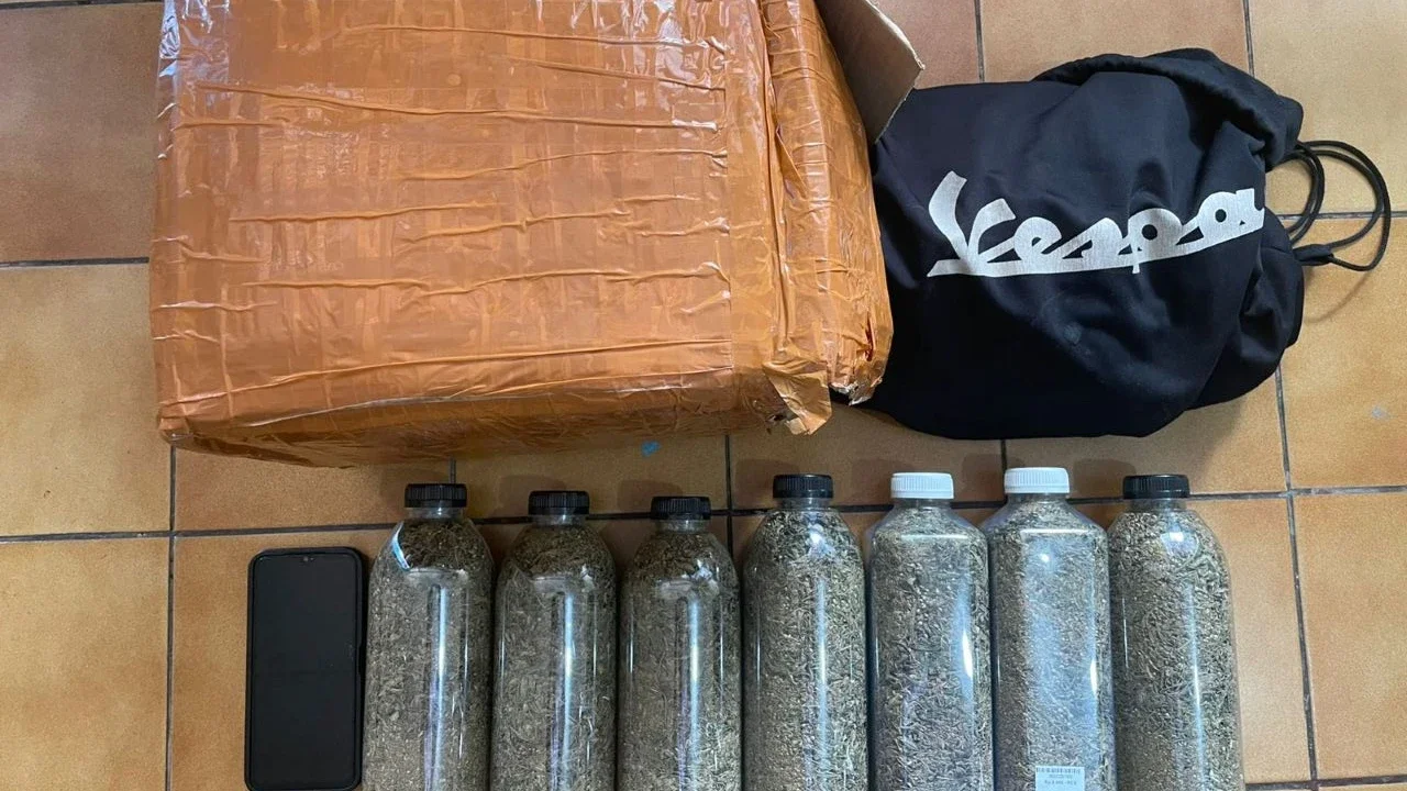 BNN Gagalkan Peredaran Ganja dan Ekstasi 2 Kg buat Diedarkan saat Malam Tahun Baru di Bali