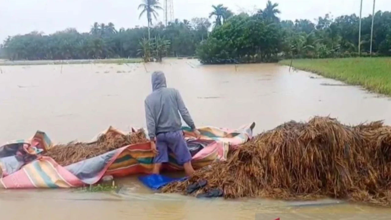 Distribusi Elpiji 3 Kg di Aceh Utara Masih Terkendala Pascabencana