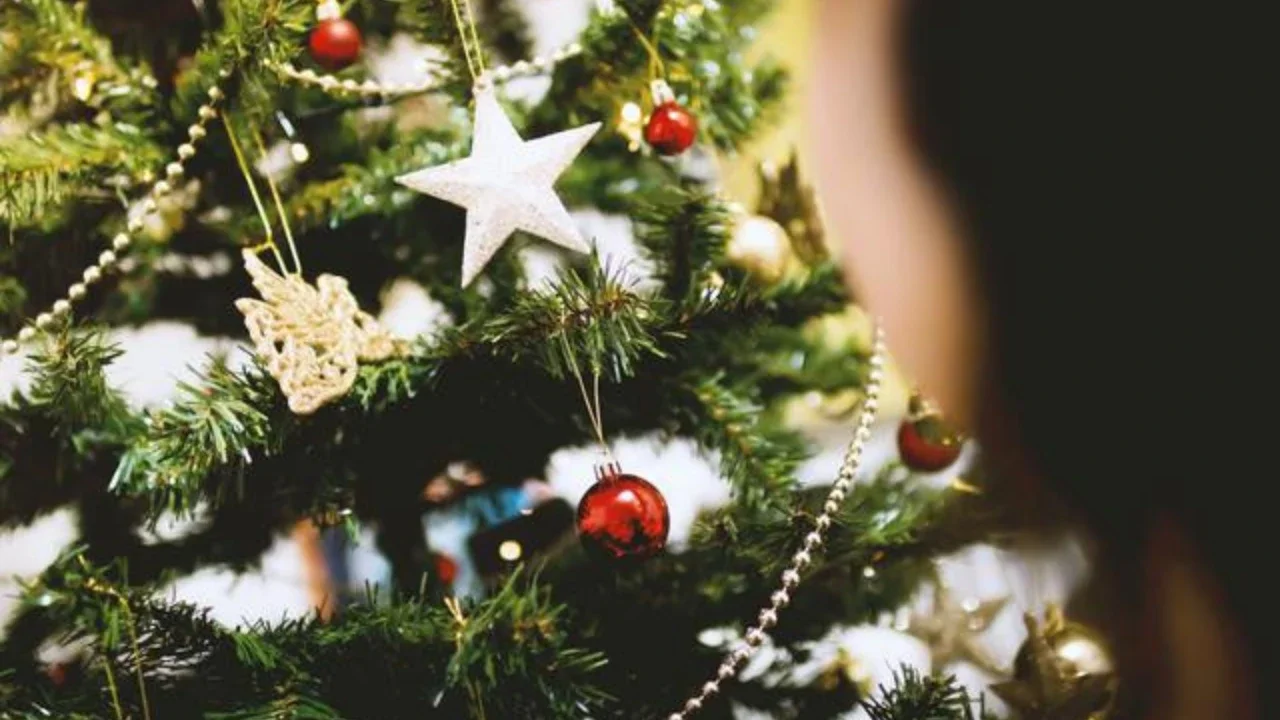 Warna Merah dan Hijau Natal