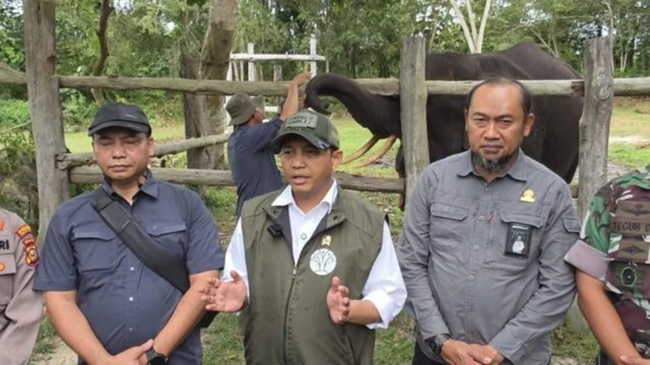 Menteri Kehutanan (Menhut) Raja Juli Antoni (Istimewa)
