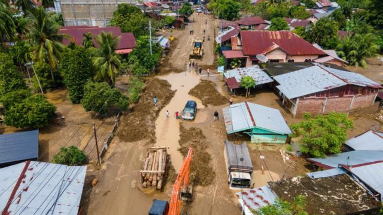 Komisi IV DPR: Pembalakan Hanya Secuil, Tambang Ilegal yang Hancurkan Hutan Sumatra