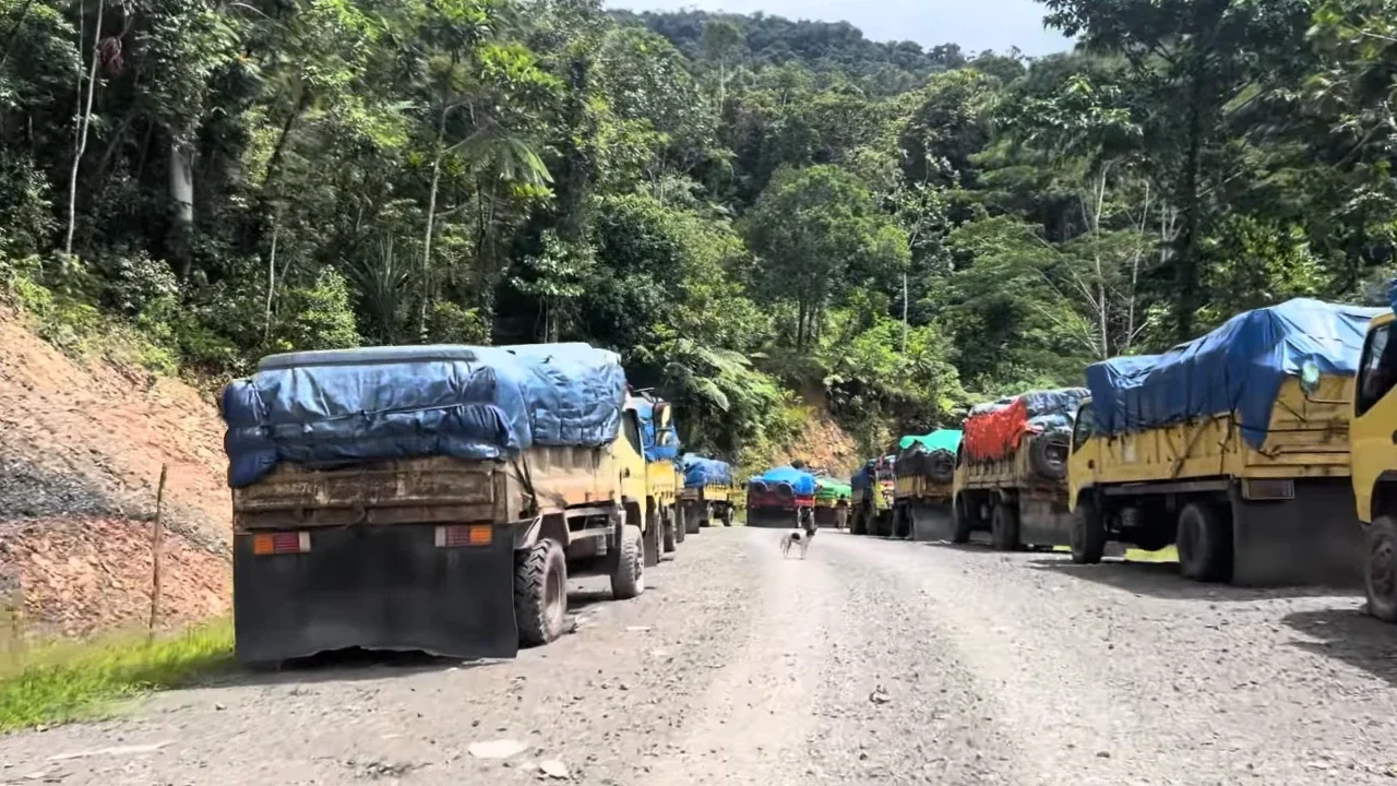 Kisah Pilu Sopir Truk di Trans Papua: 4 Bulan Terjebak Lumpur hingga Bikin 'Kampung Dadakan'