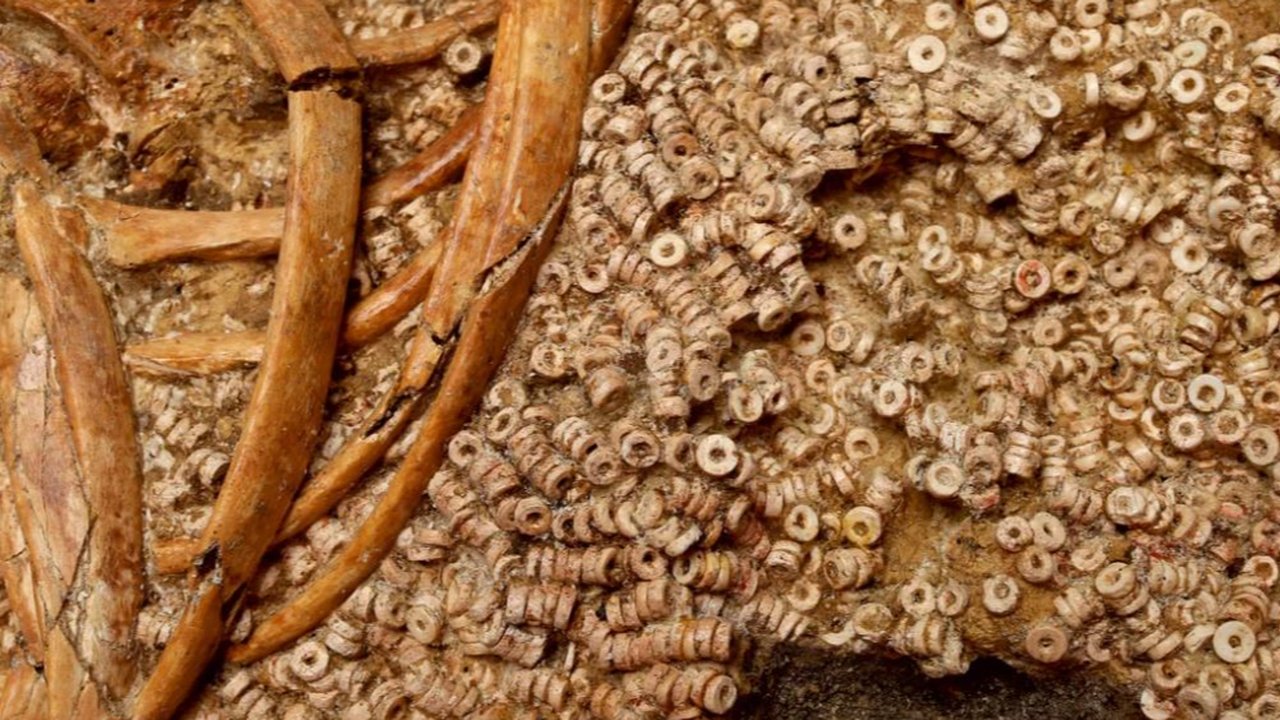 Arkeolog Temukan Makam Berusia 5.000 Tahun, Berisi 270.000 Biji Manik-Manik