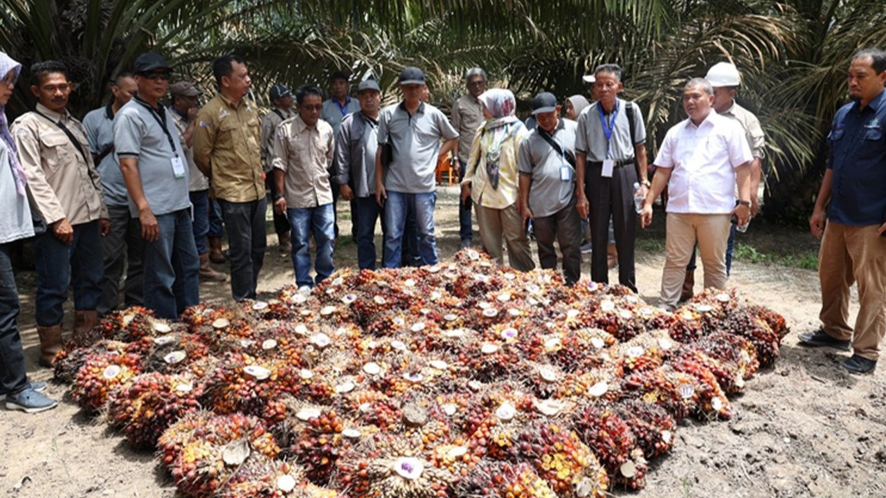 Pekerja Perkebunan Kelapa Sawit (sumber: www.musimmas.com)