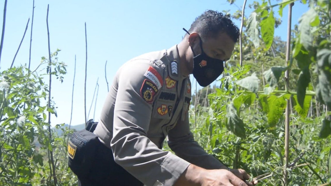 polisi peraih pin emas kapolri