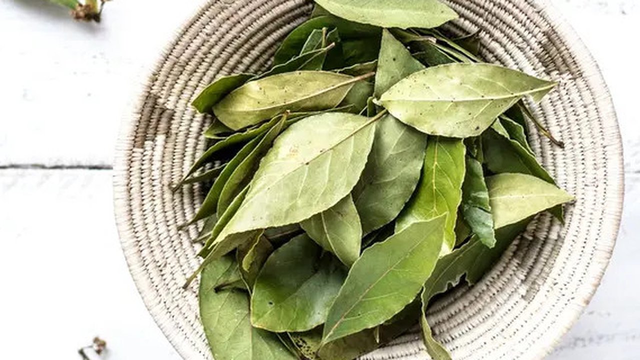 ilustrasi daun salam/copyright Unsplash/Monika Grabkowska