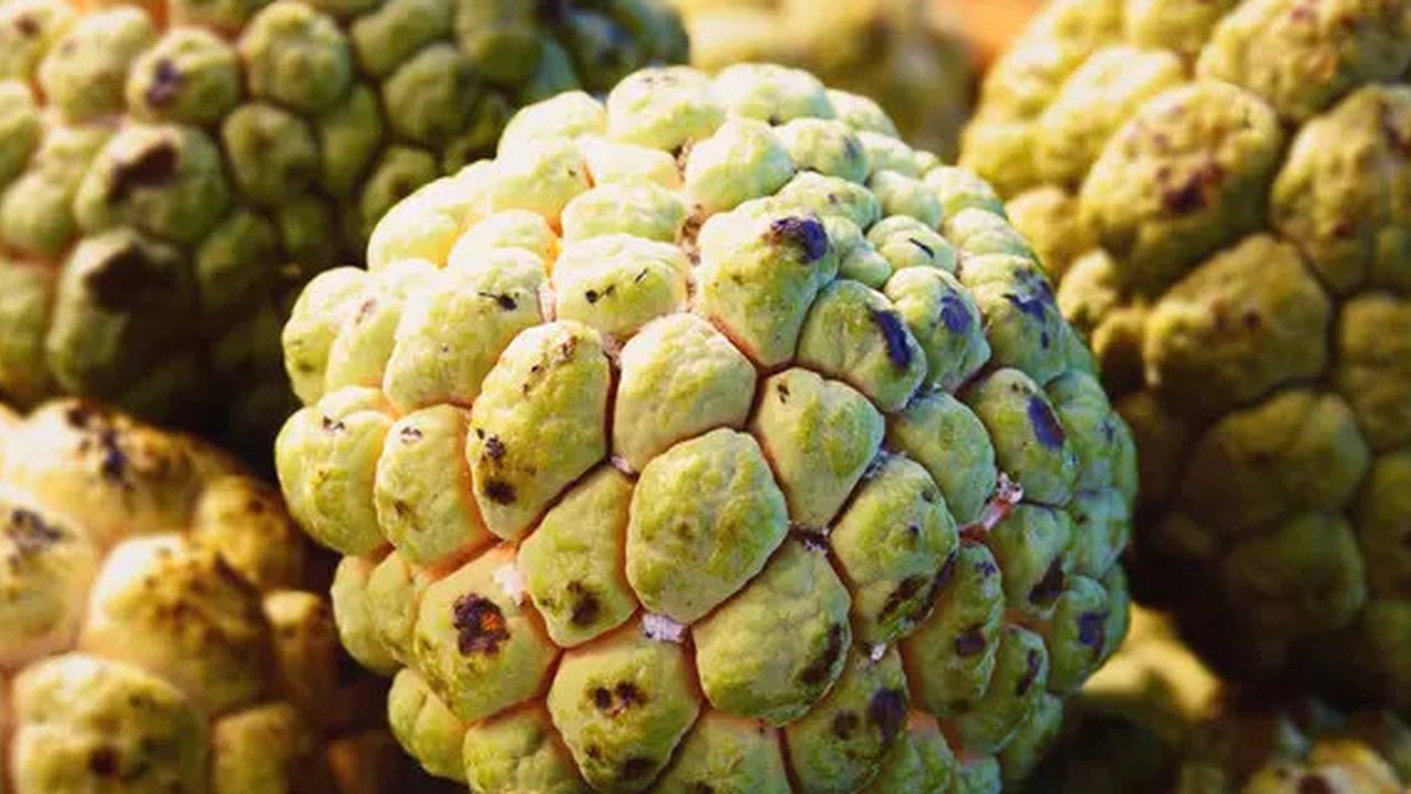 Manfaat buah srikaya  (sumber: iStockphoto)