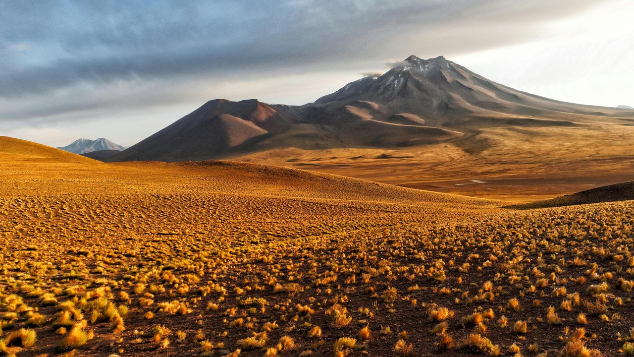 Meski sangat panas, kehidupan tetap bisa berkembang di sana. (Sumber: Patricio LÓPEZ CASTILLO / AFP)