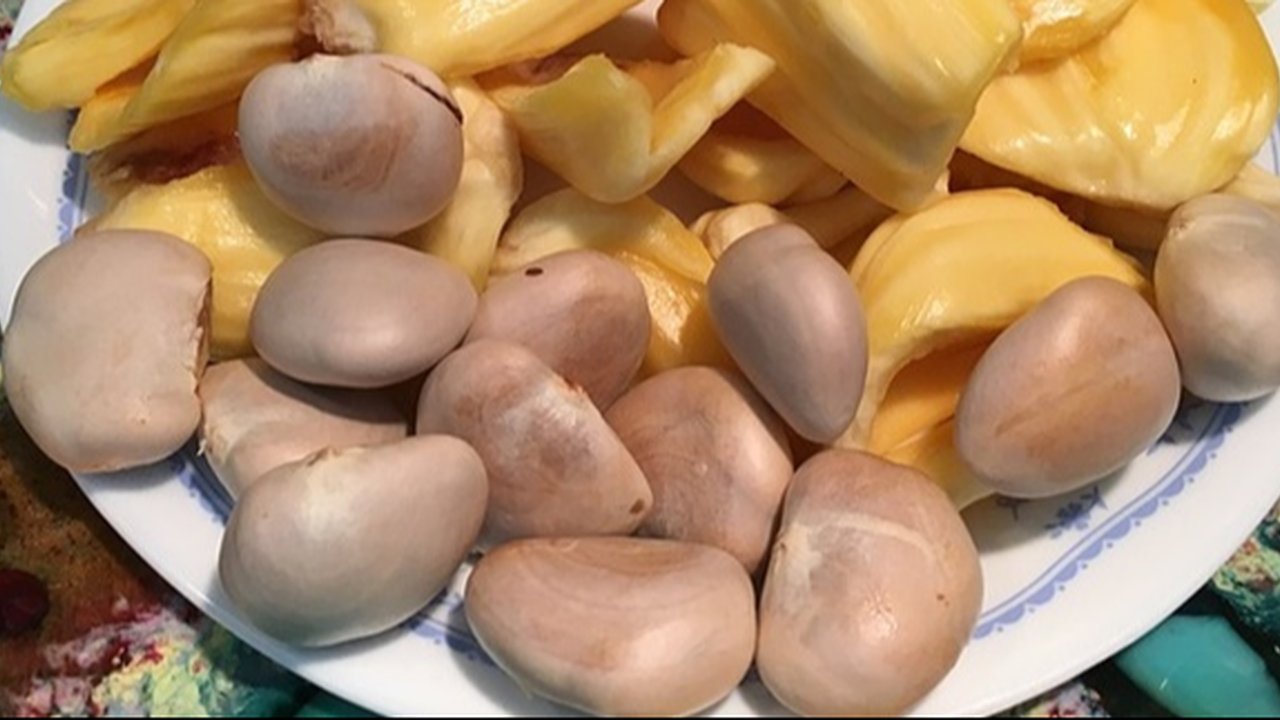 Bisa Jadi Camilan, Ini 9 Manfaat Biji Nangka untuk Kesehatan yang Belum Banyak Orang Tahu