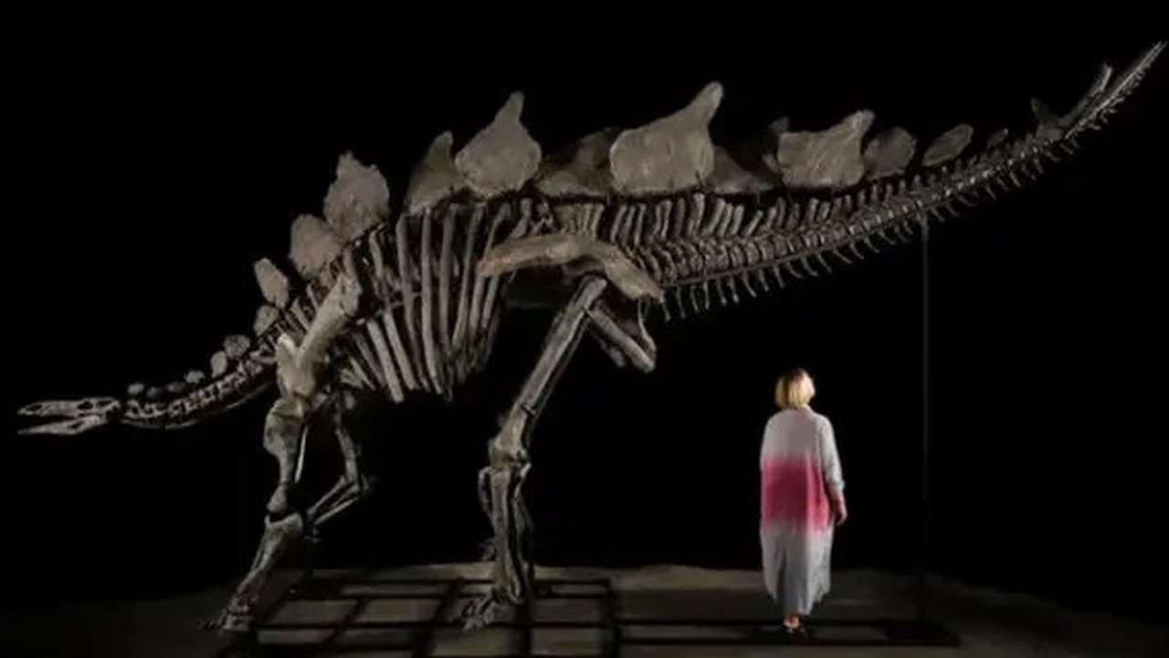 Kerangka dinosaurus Apatosaurus bernama
