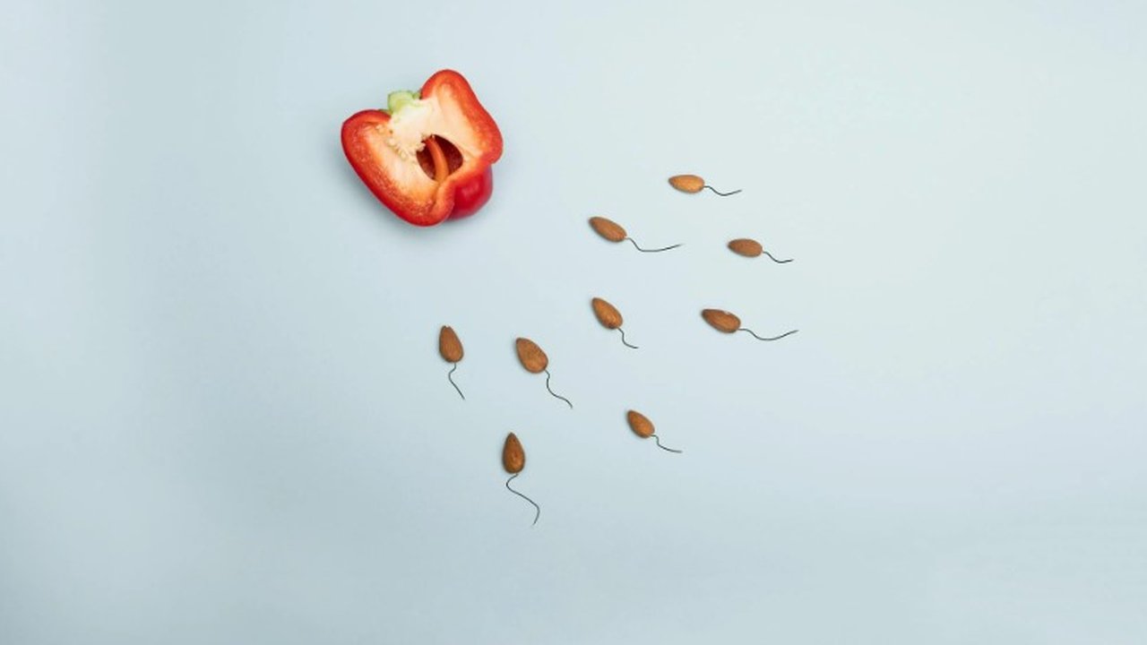 Ilustrasi Sperma