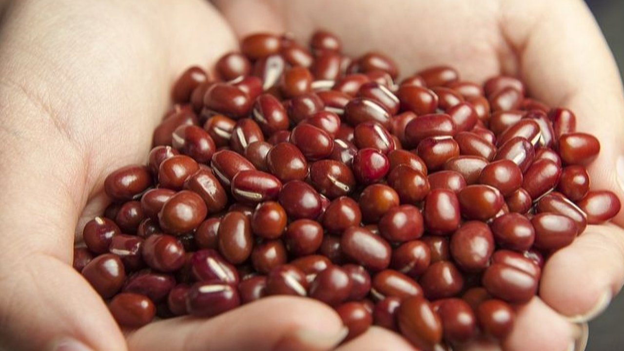 Tanpa Baking Soda, Ini Cara Rebus Kacang Merah Sampai Empuk dengan 1 Alat (YouTube/Sajian Bunda)