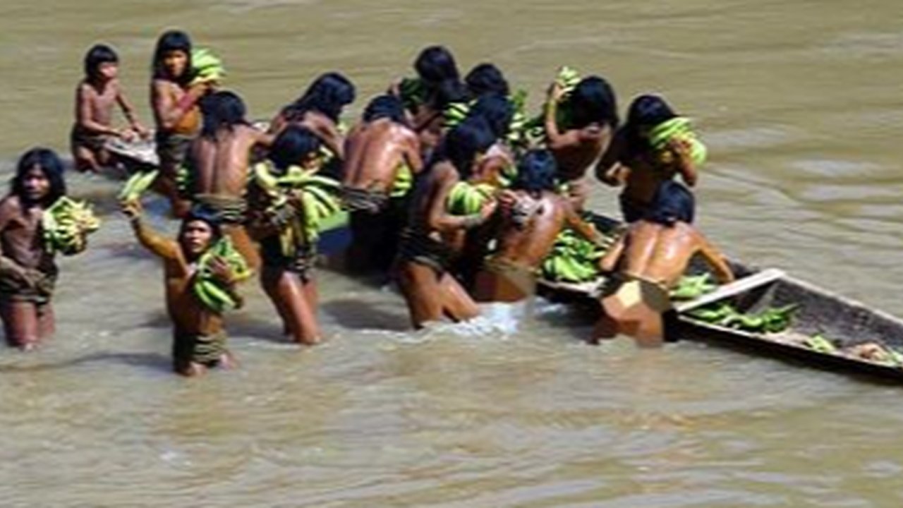Pemandangan Langka, Suku Terasing di Amazon Muncul di Dekat Lokasi Penebangan Hutan