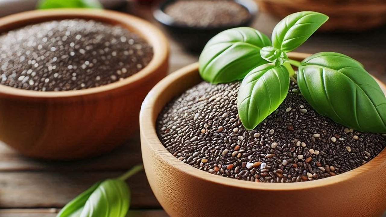 Ilustrasi Chia Seed