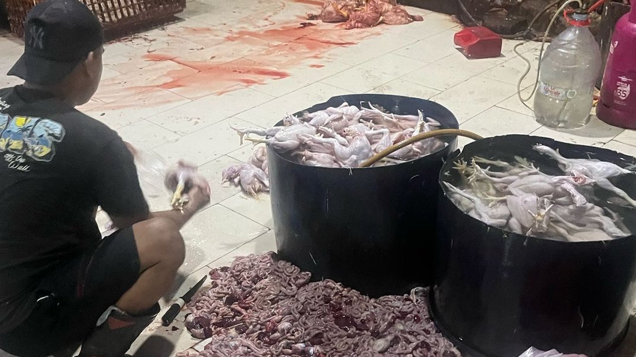 Hati-Hati Ayam Suntikan Ditemukan di Jaksel Jelang Ramadan