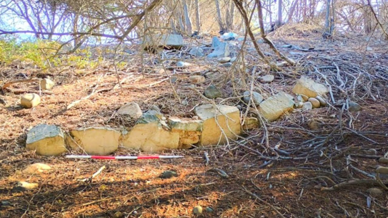 Sedang Tebang Pohon, Pekerja Temukan Piramida Misterius Berusia 3.800 Tahun, Tersembunyi di Bawah Rimbun Pepohonan