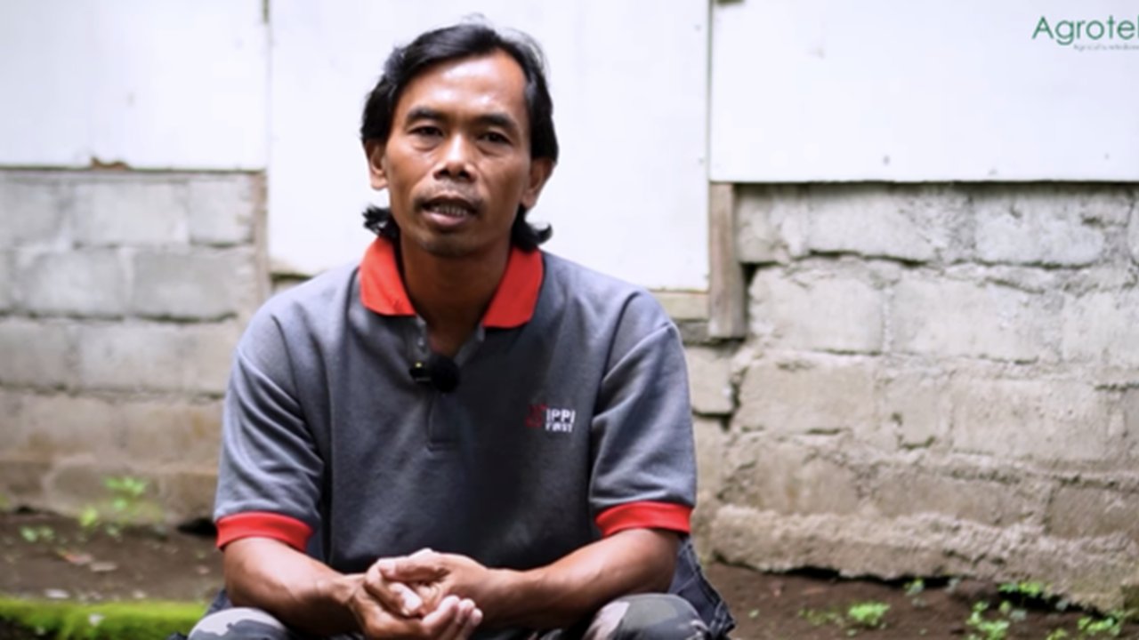 ternak ulat hongkong