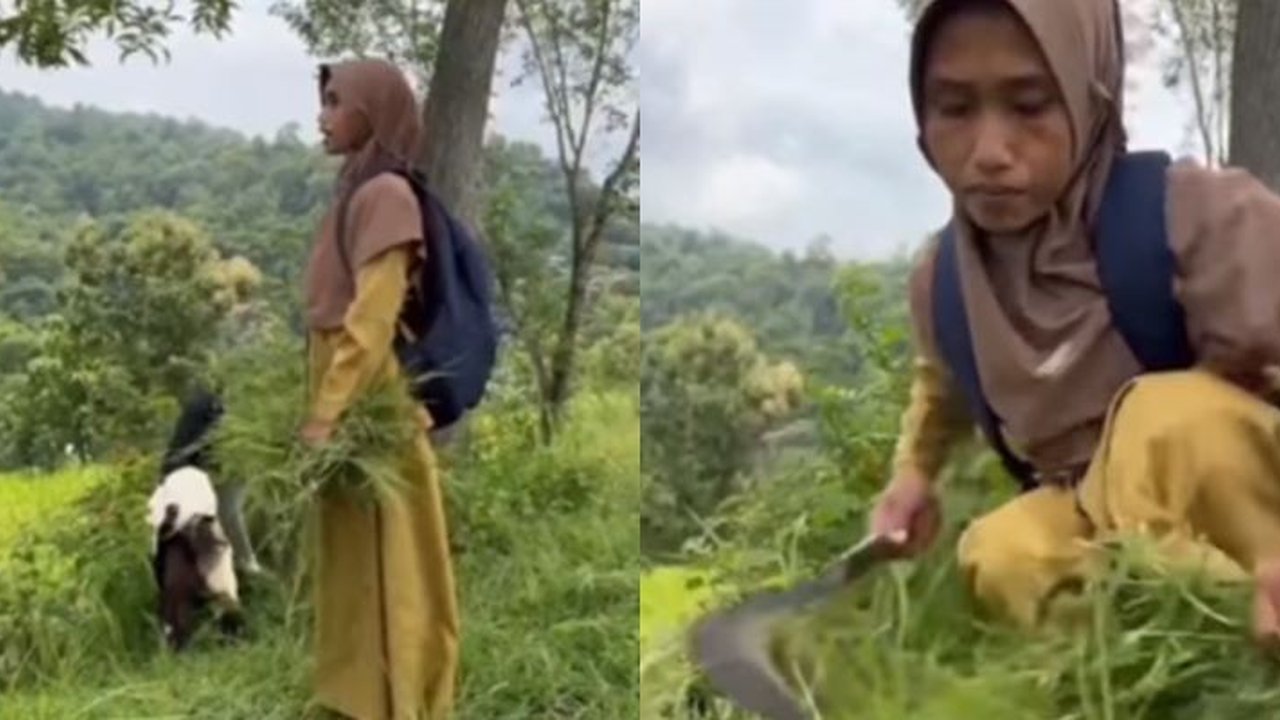 Dedikasi Guru TK Tak Bergaji Tiap Hari Ajari Belasan Anak