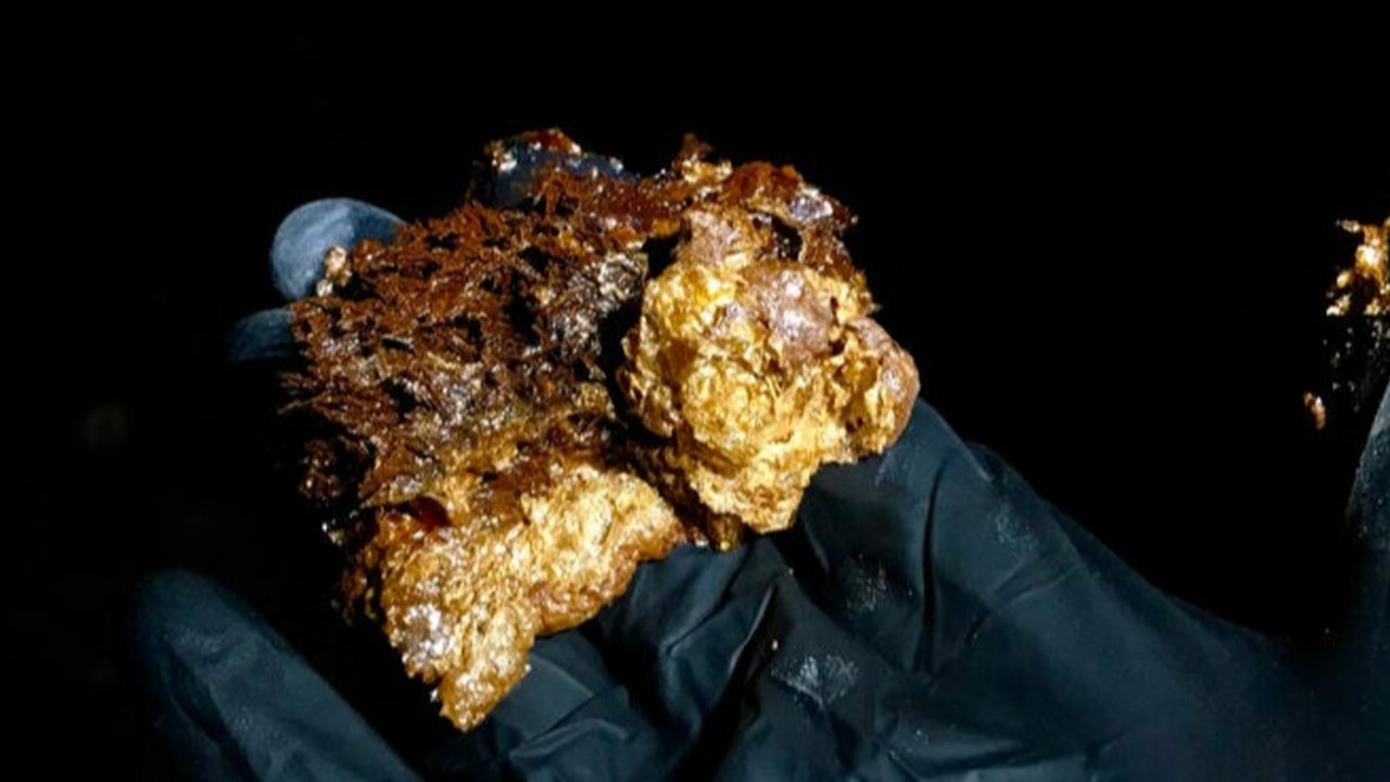 ilmuwan temukan kehidupan bawah tanah