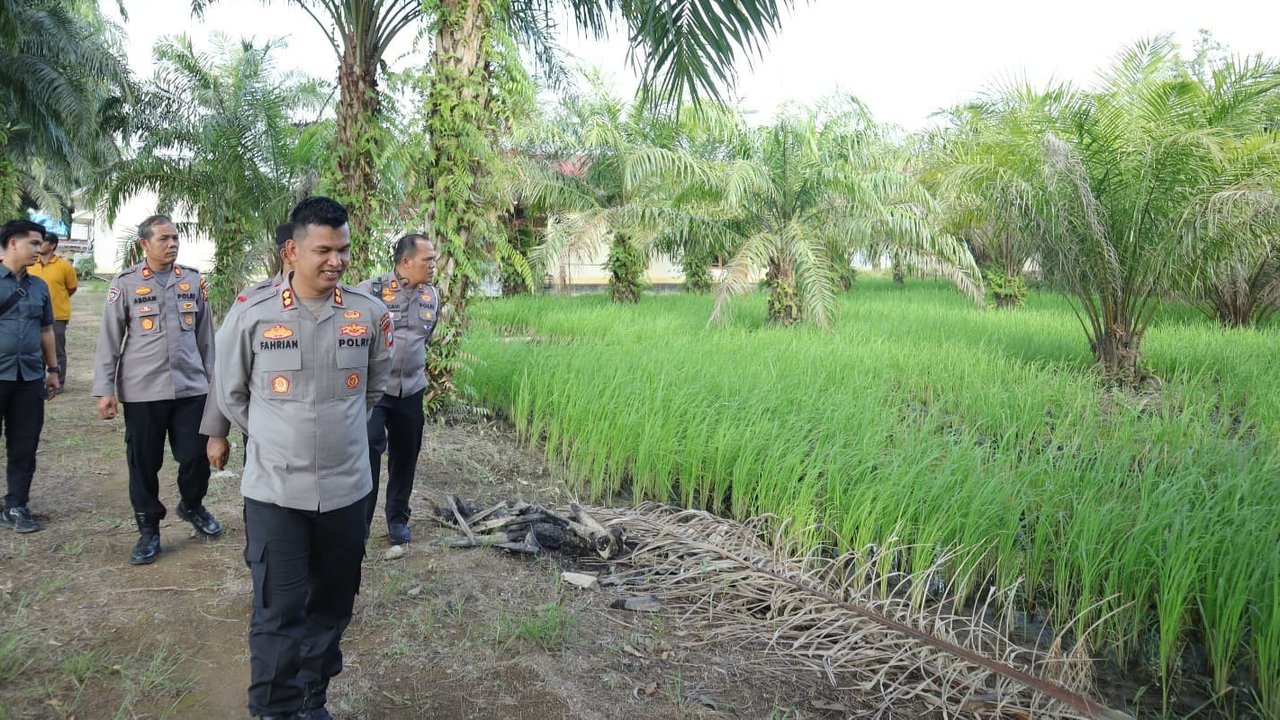 kantor polisi jadi sawah