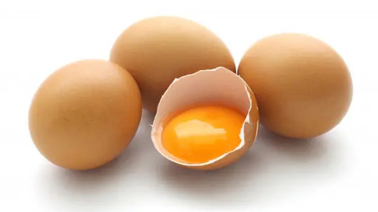 Ilustrasi Telur Credit: freepik.com