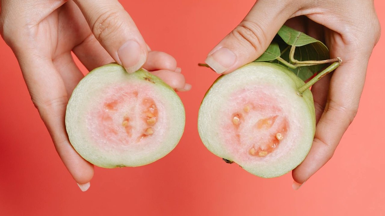 Ilustrasi Jambu Biji