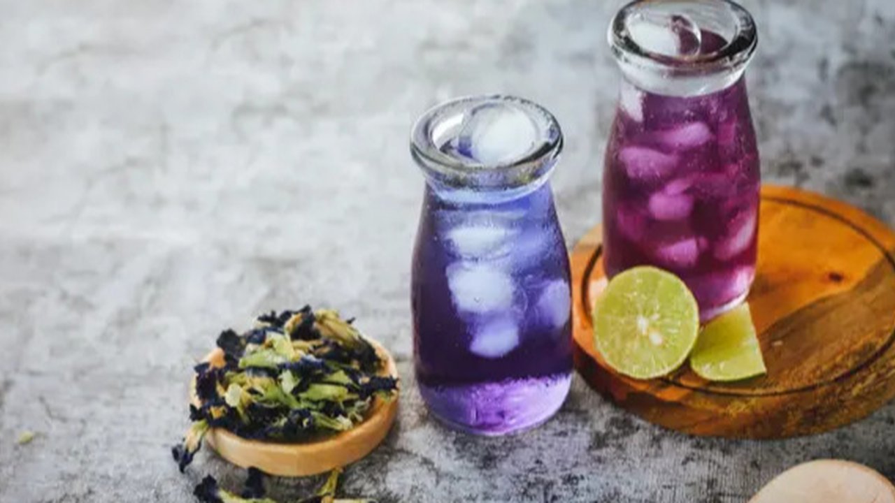 Bunga Telang. (foto: Pinterest/Freepik).