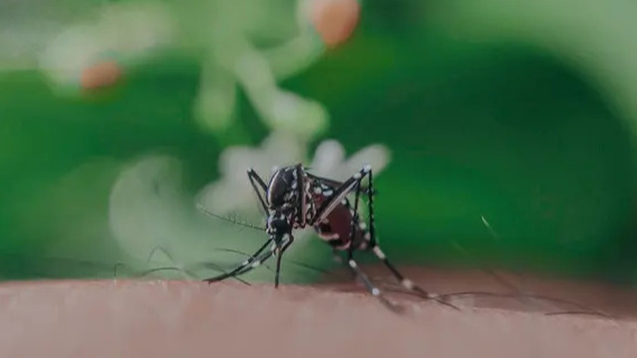 Ilustrasi orang yang sedang menggaruk kulit kering, bersisik, dan gatal. Credits: pexels.com by Cats Coming