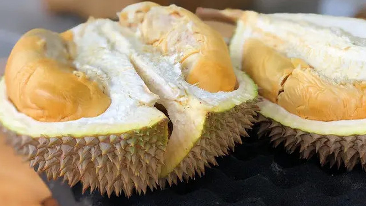 Ilustrasi buah durian (foto: Unsplash/Jimteo)