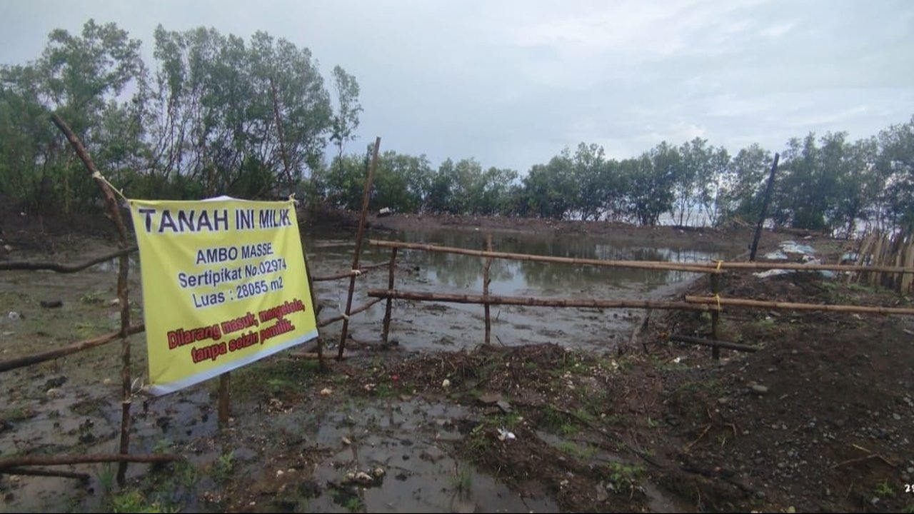 Lahan Mangrove Kuri Lompo