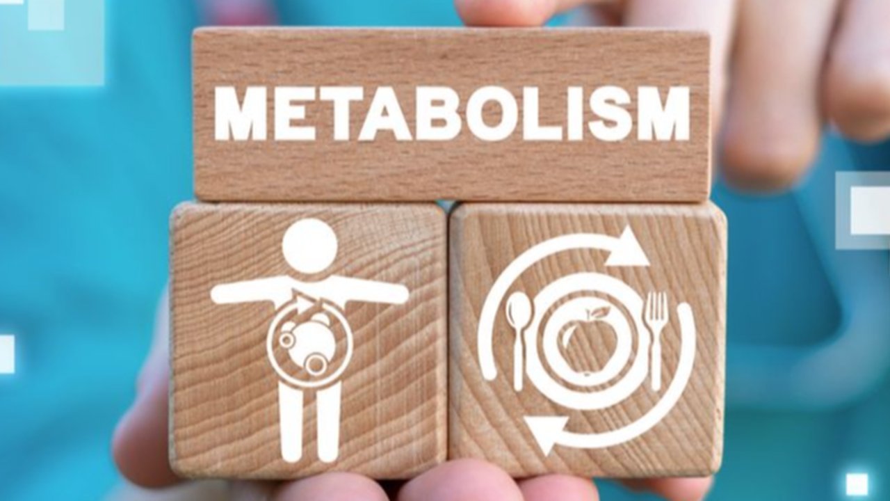 Ilustrasi metabolisme tubuh