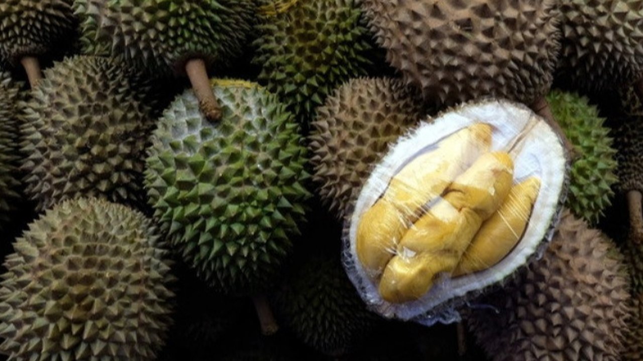<p>Ilustrasi durian (AFP)</p>
