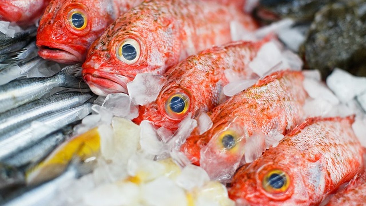 ilustrasi ikan di pasar