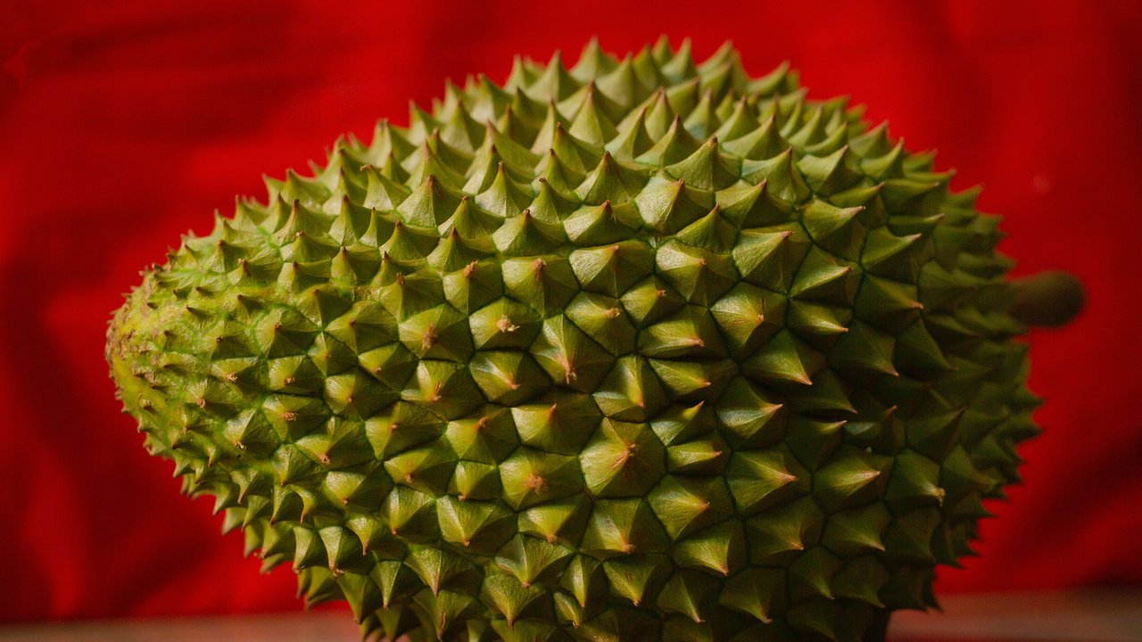 Ilustrasi durian. (Sumber foto: Pexels.com)