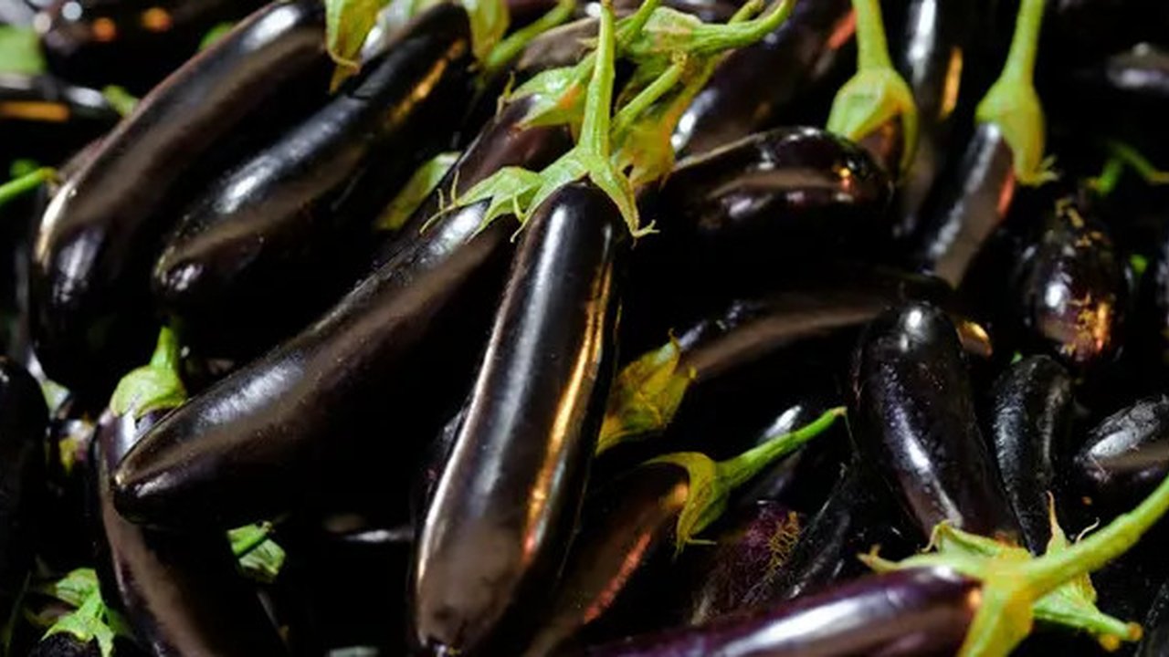 Ilustrasi Sambal Terong Balado Credit: pexels.com/pixabay