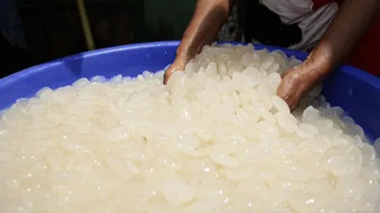 Manfaat Kolang-Kaling