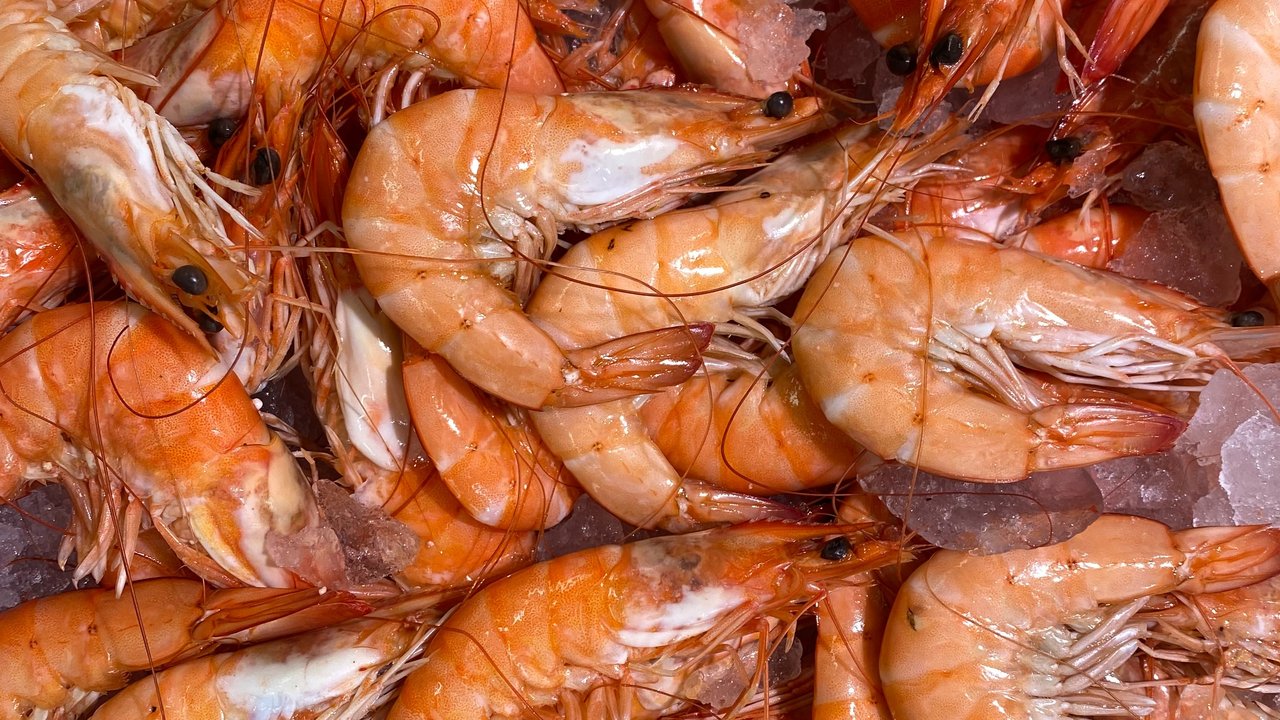 Tips memilih udang yang tepat dari Serious Eats ini bisa kamu ikuti (Foto: Unsplash.com/John Cameron)