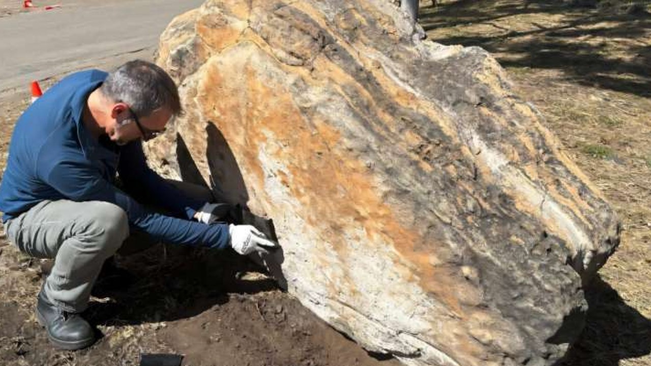 temuan jejak dinosaurus pada sebongkah batu