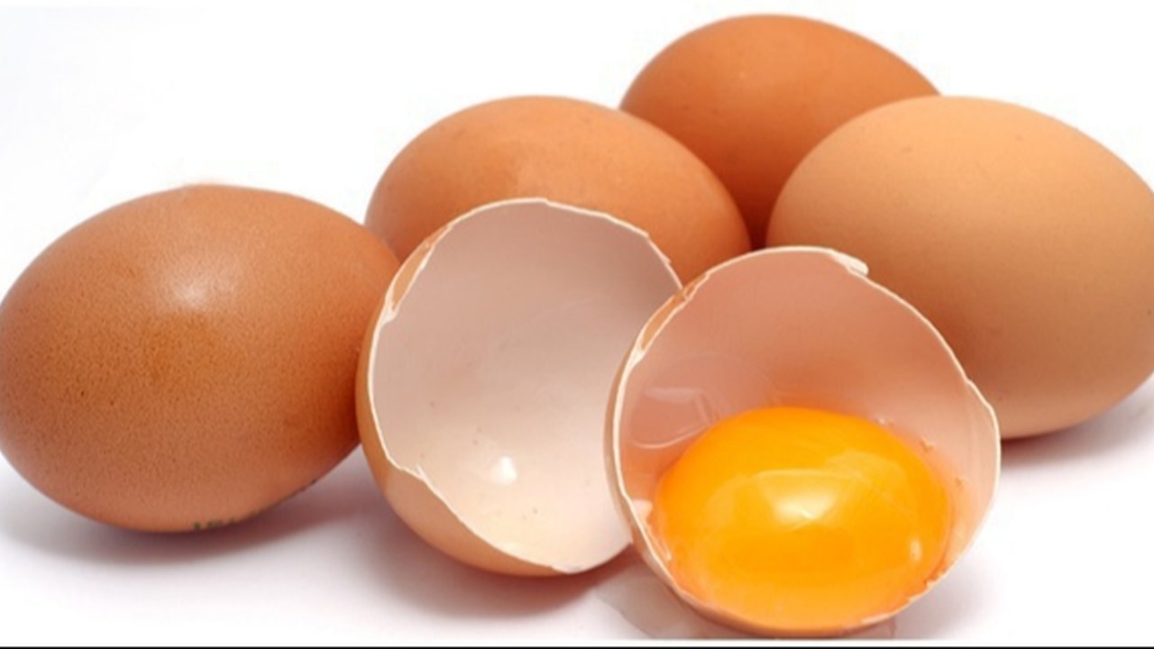 Ilustrasi telur ayam