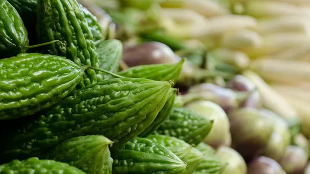 Ilustrasi pare. (Image by jcomp on Freepik)