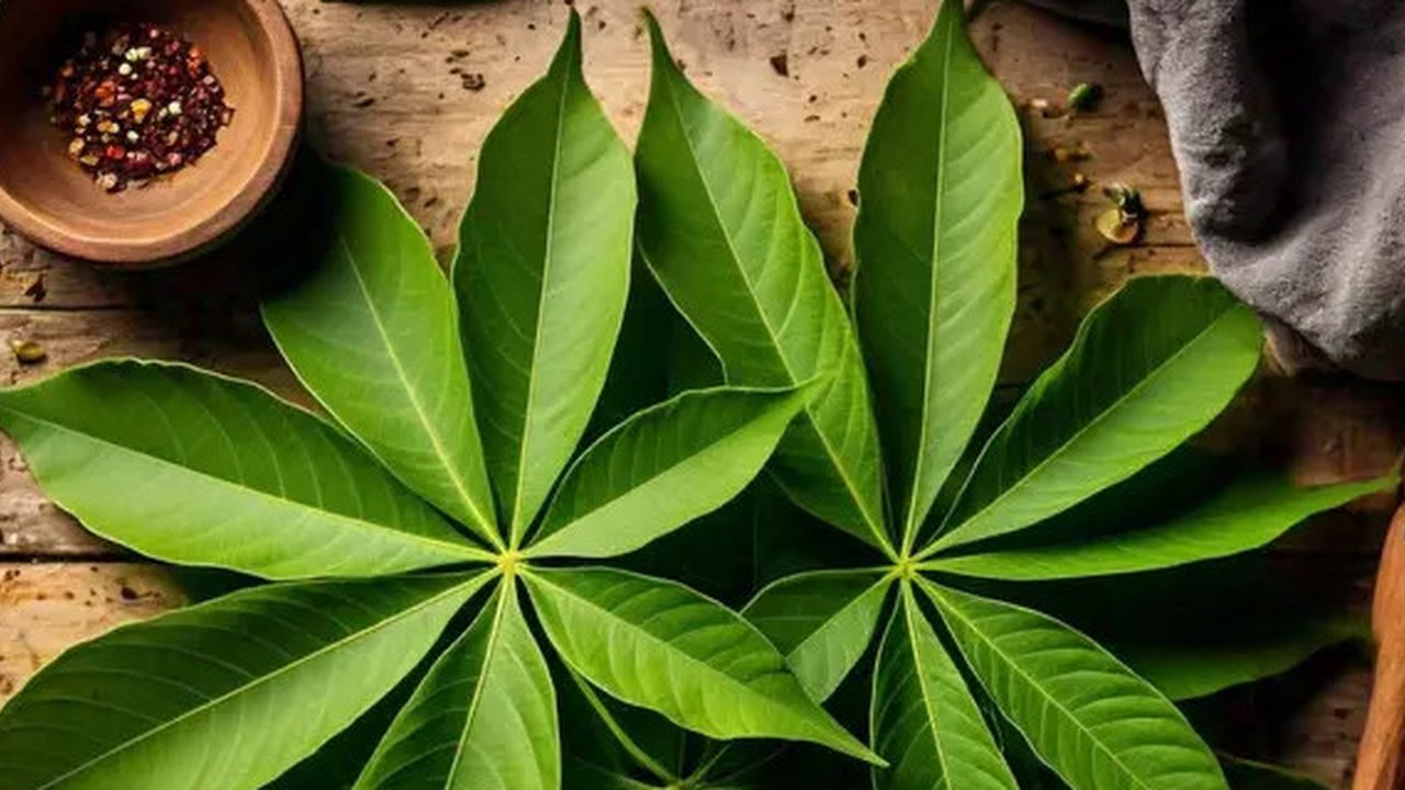 Daun Singkong by AI/ChatGPT