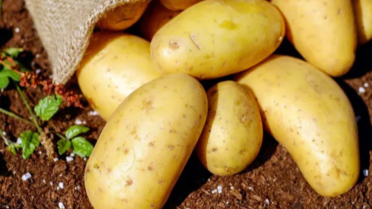 Resep kentang panggang ini bisa dijadikan pengganti nasi sebagai asupan karbohidrat harian.