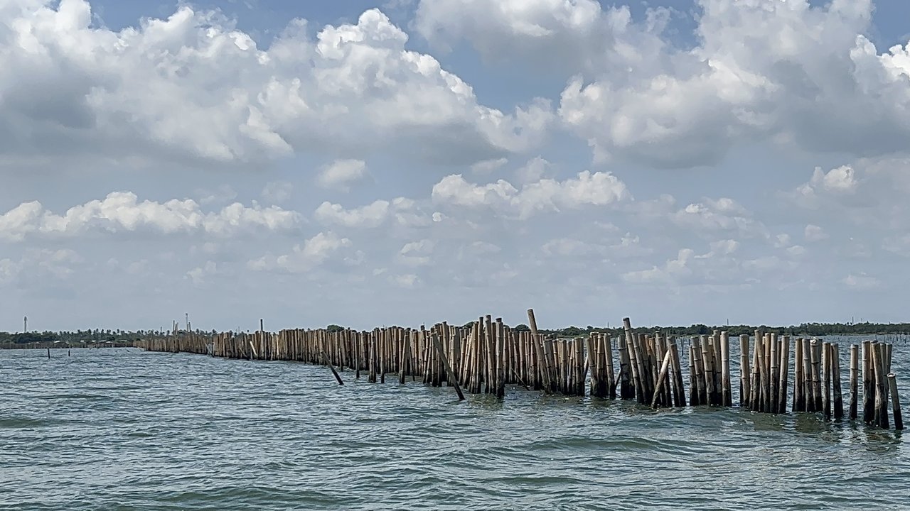 pagar laut di kohod