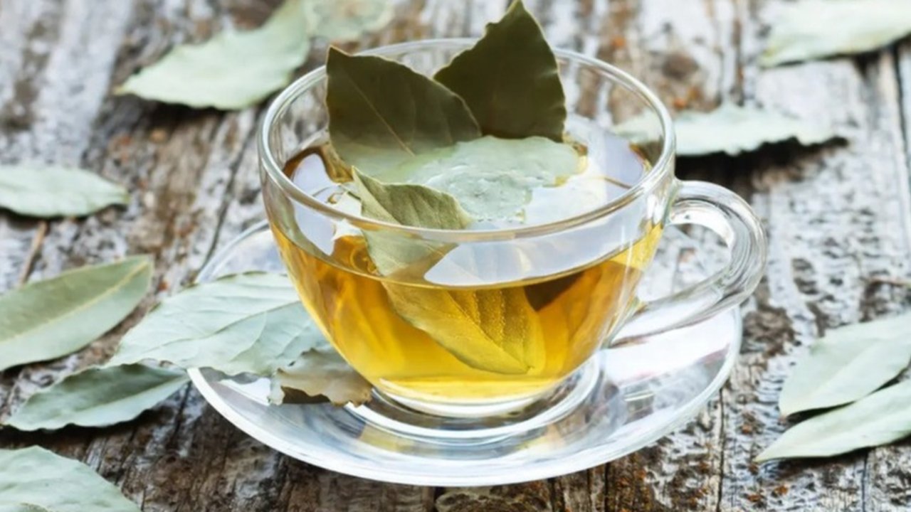 Ilustrasi rebusan daun salam (Sumber: iStockphoto)