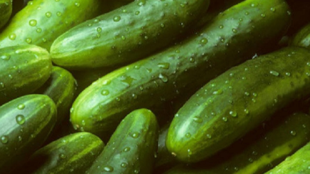 Ilustrasi timun (iStock)