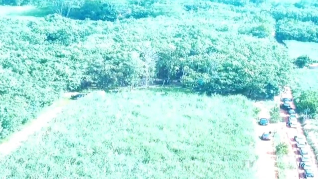 Lokasi Sabung Ayam di Way Kanan Lampung