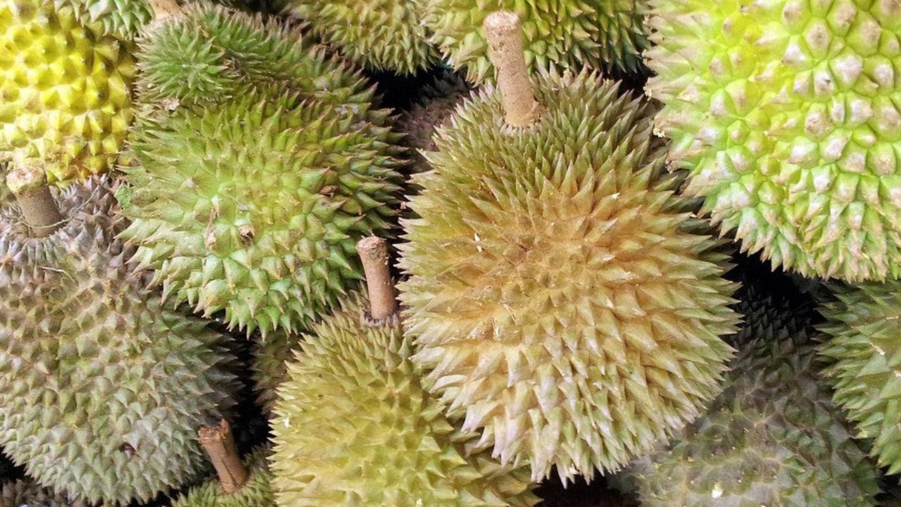 Cara Baru Diplomasi Indonesia terhadap China Lewat Durian Beku