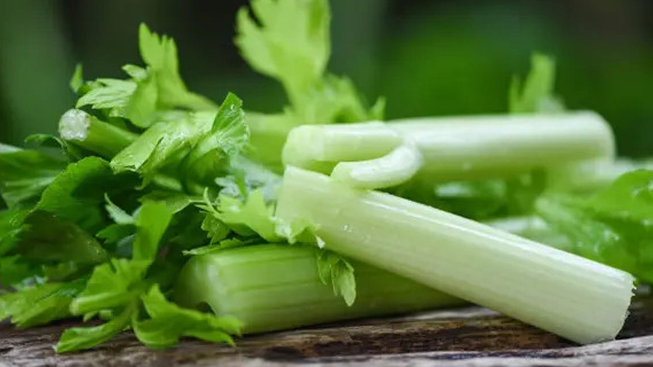 Ilustrasi Foto Daun Bawang (iStockphoto)