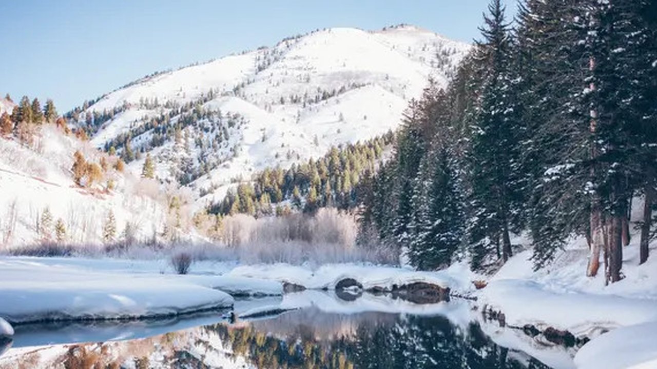 (unsplash.com/@coloradocolby)