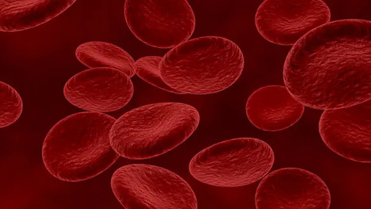 Ilustrasi Terkena Anemia Credit: unsplash.com/Stacey